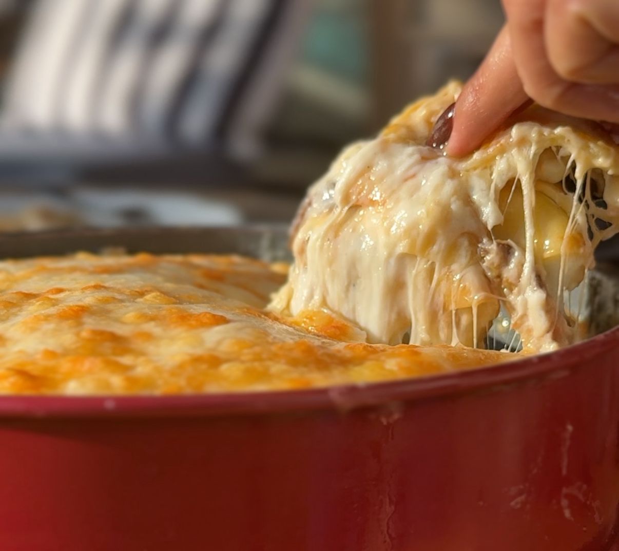 שמרית | לזניה חלבית: לזניה לבנה של ניצן אהרון. בצק פסטה מוכן