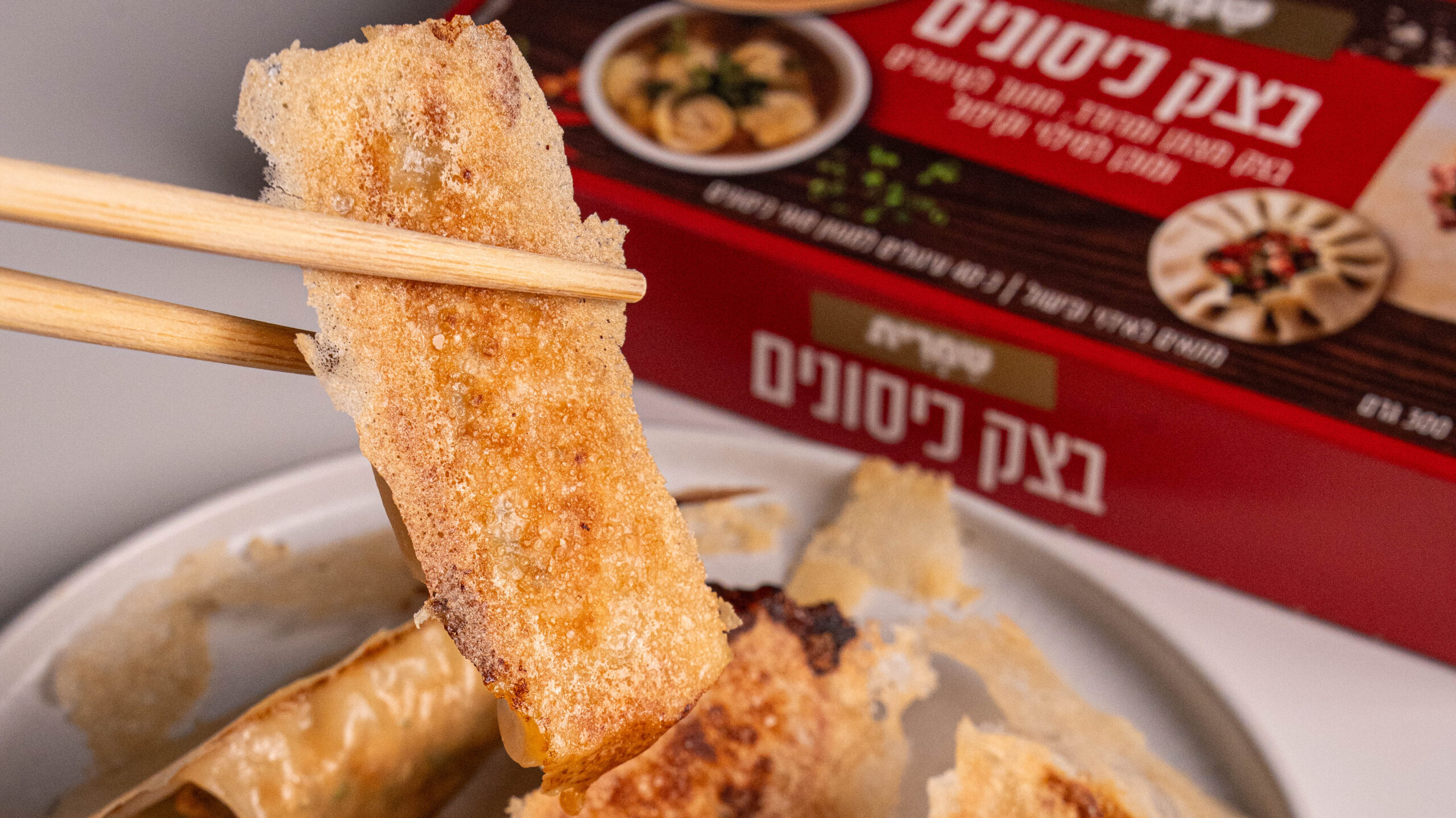 גיוזה בצל ירוק ועירית בגלגול מהיר